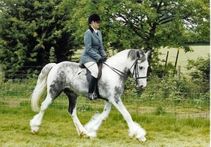 dougal