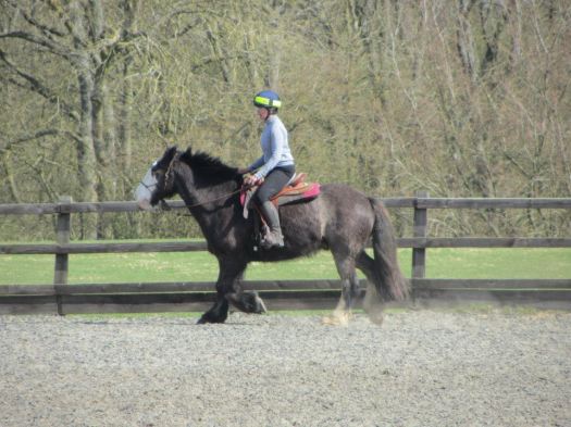 66043_10201082259047013_729345074_n