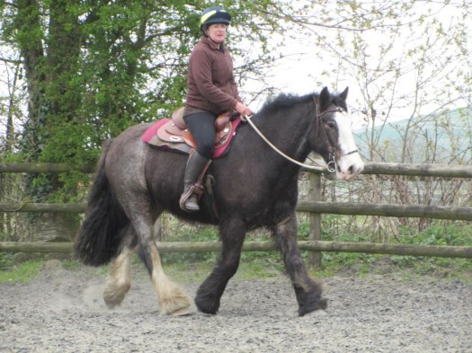 935345_10201088850931806_1672498759_n