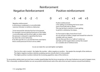An image of the linear aspects of reinforcement