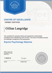 Image of the diploma