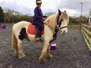 the author on her horse Mojo