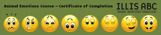 Animal emotions course completion banner