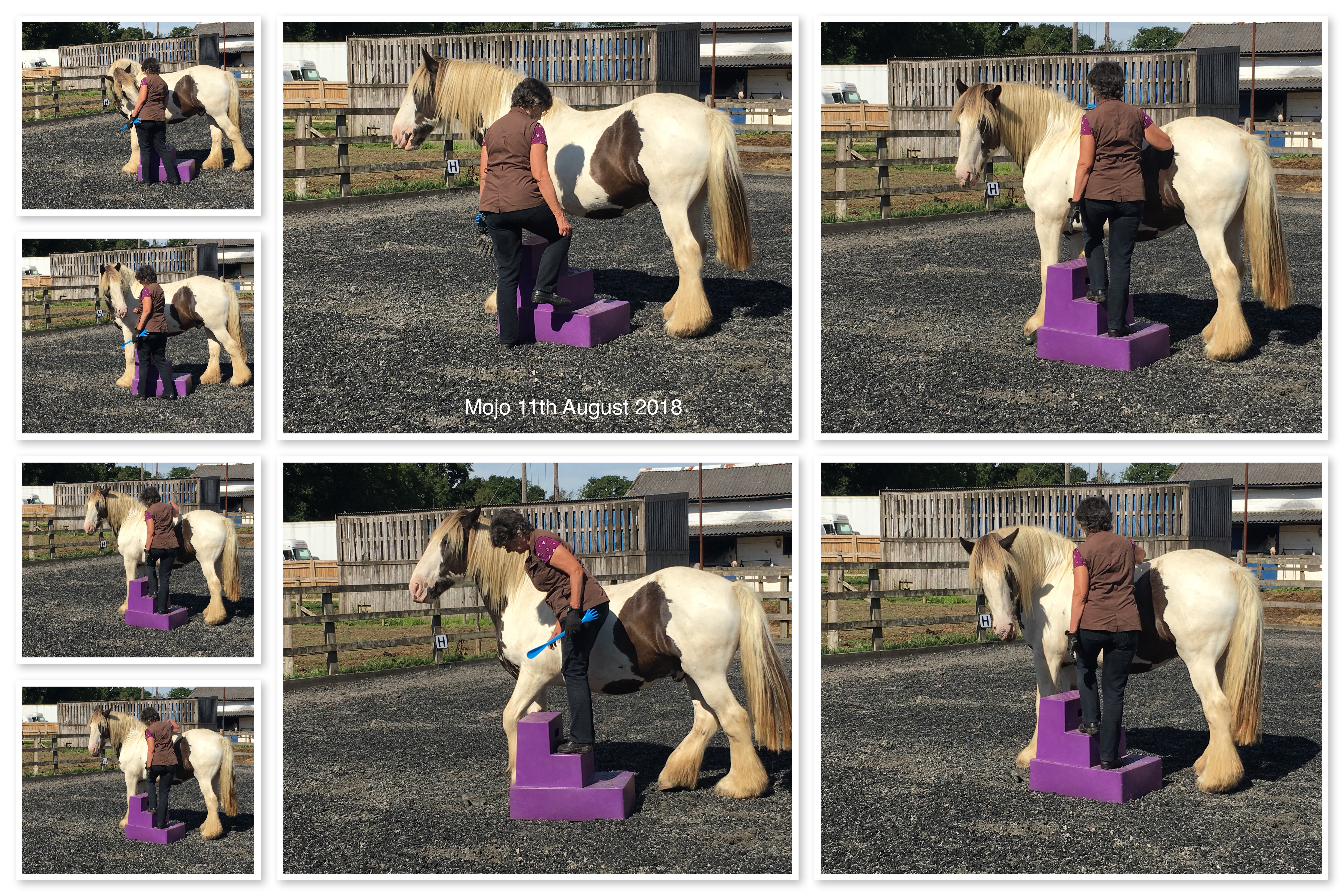 Collage created using TurboCollage software from www.TurboCollage.com