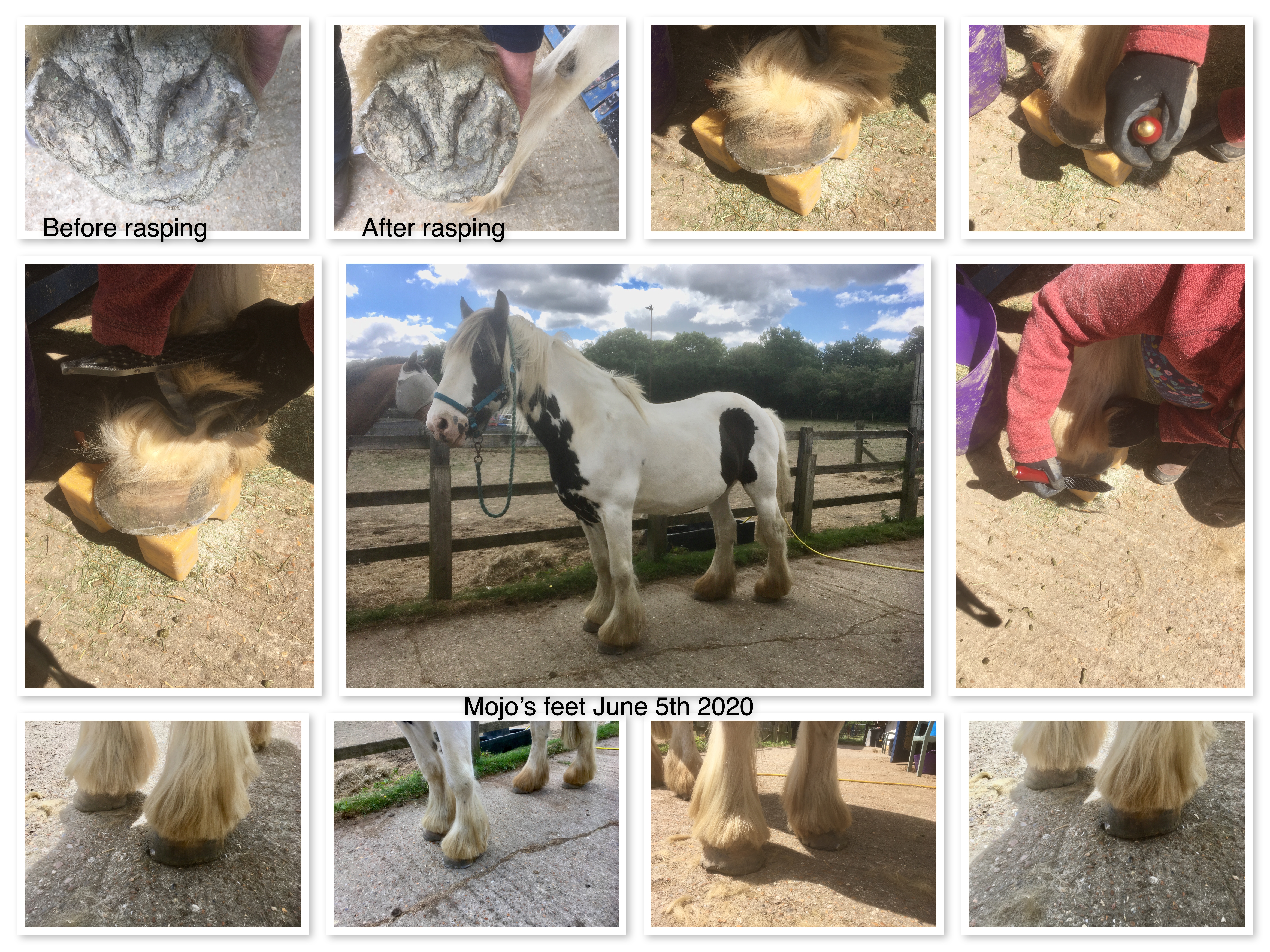 Collage created using TurboCollage software from www.TurboCollage.com