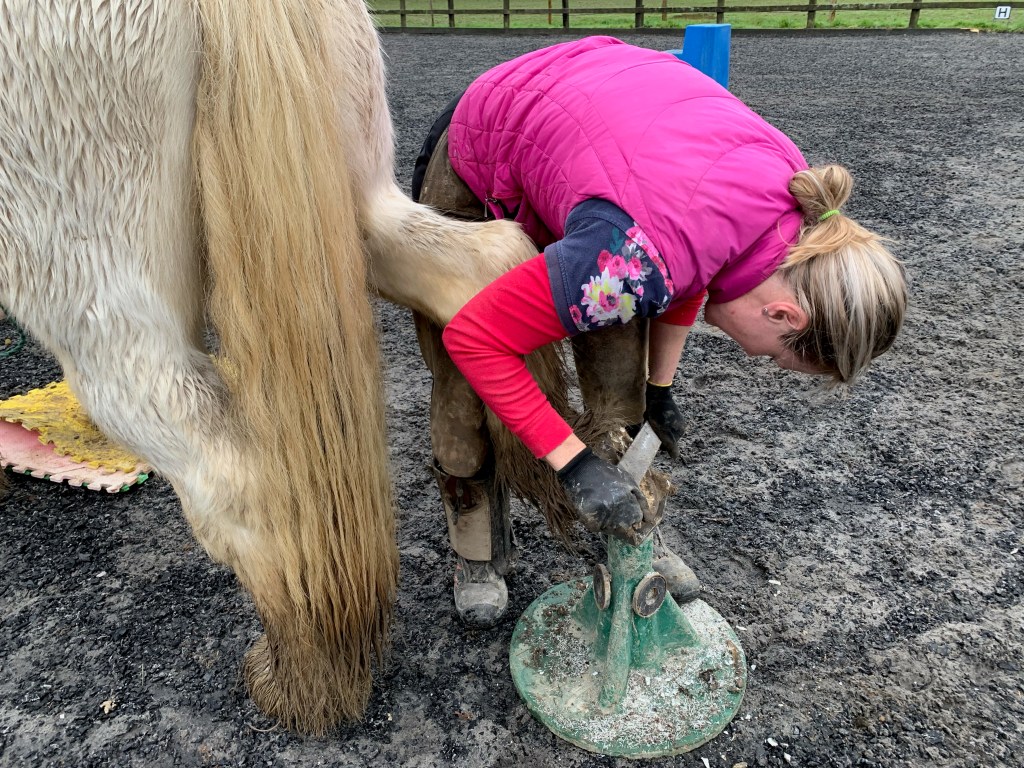 Mojo having his feet trimmed