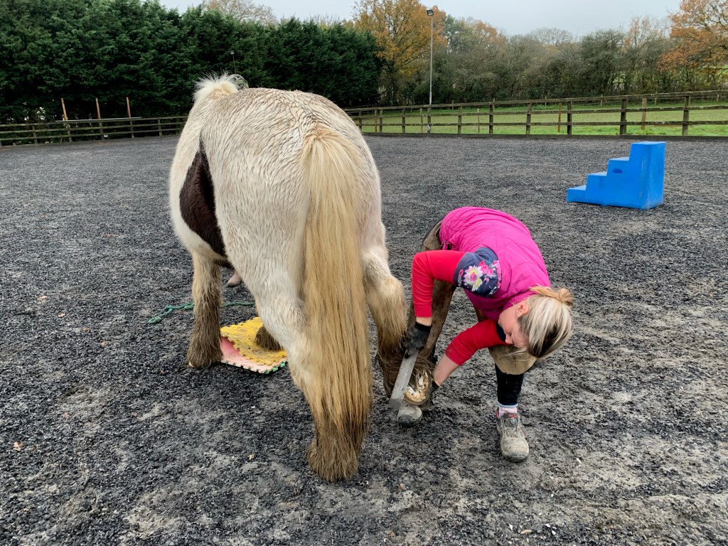 Mojo having his feet trimmed